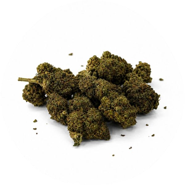 Jack HERER VENOM