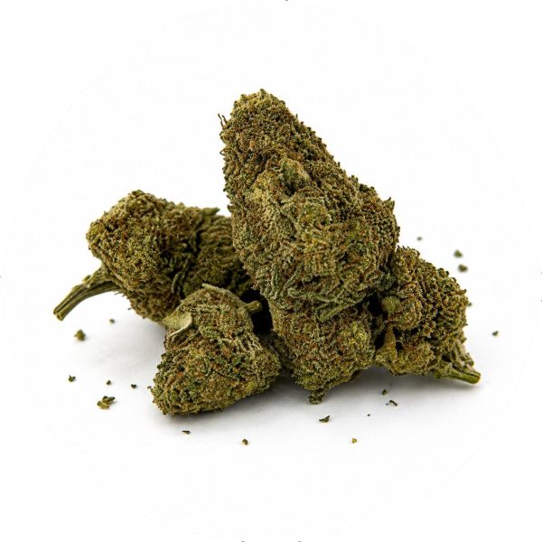 Gorilla Glue