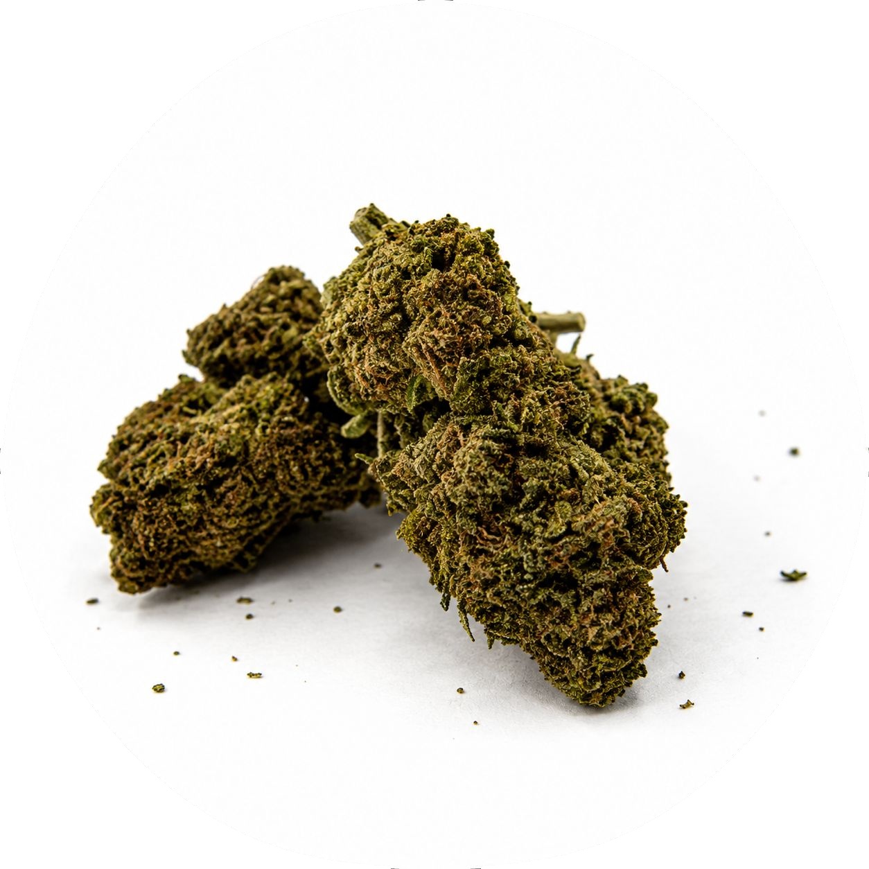 F37 - GLUE MERINGO Blue meringa – Image 1