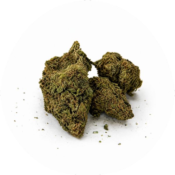 Gelato 13 DC10