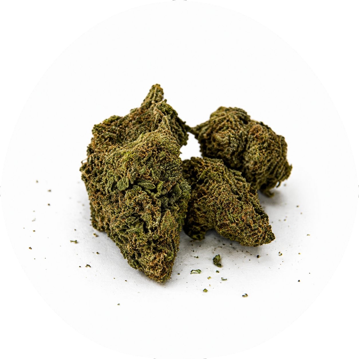 F40 - GELATO 13 DC10 Gelato 13 DC10 – Image 1