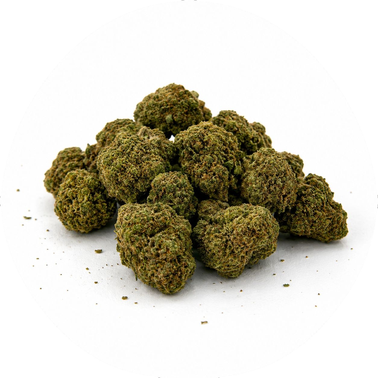 F41 - MUFFIN MUFFIN – Image 1