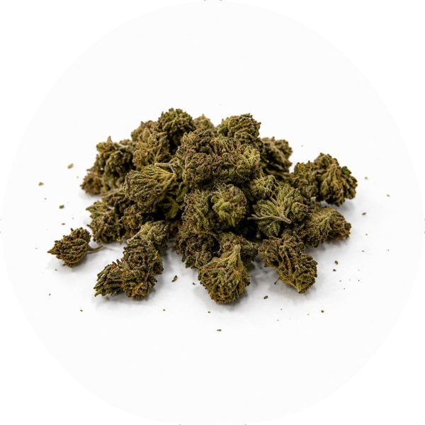 Poison IVY NANO