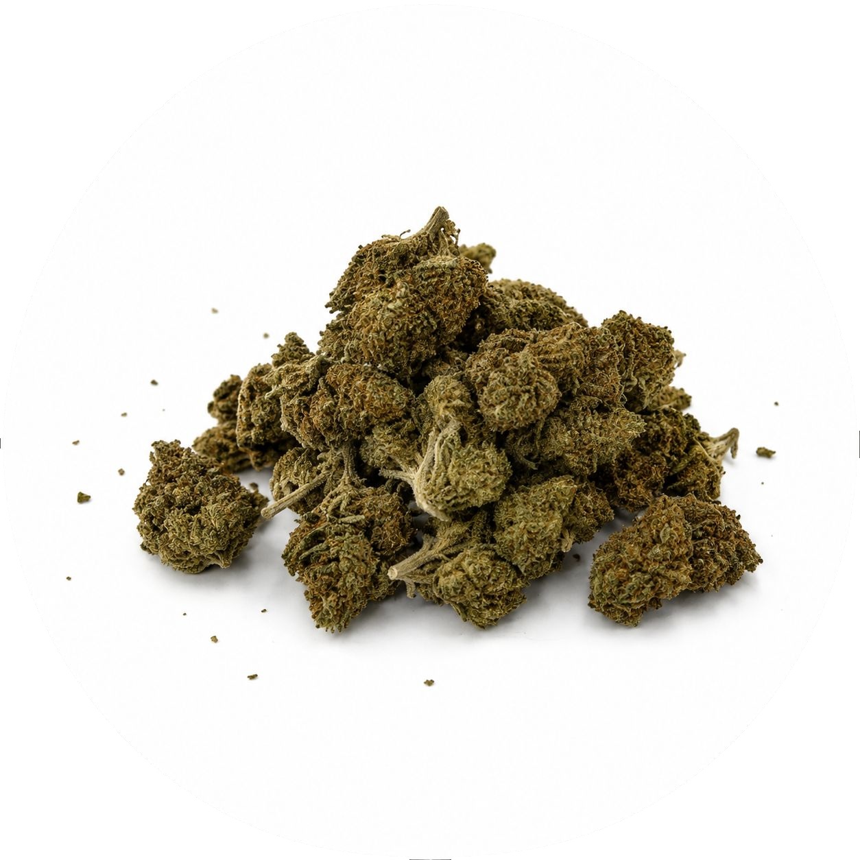 F44 - MANGO Mango – Image 1